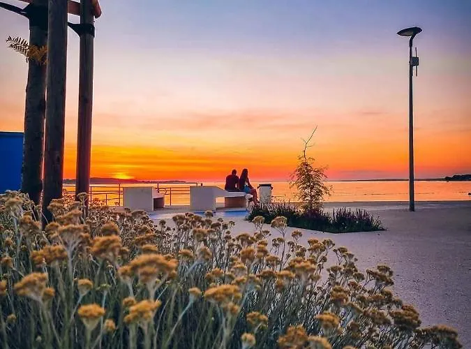 Nora Stinjan Daire *