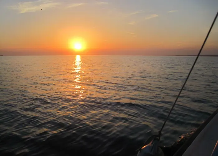 Daire Nora Stinjan Pula