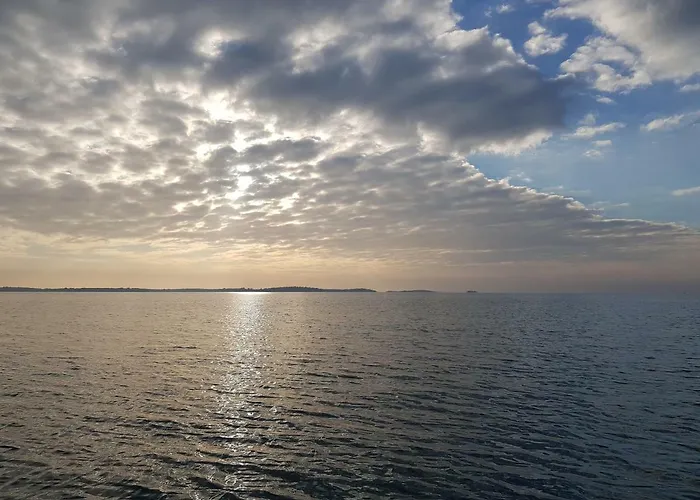 Nora Stinjan Daire *