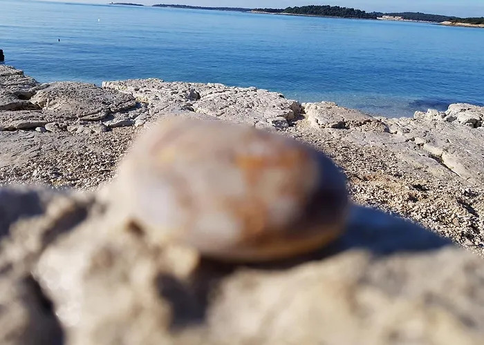 Nora Stinjan * Pula